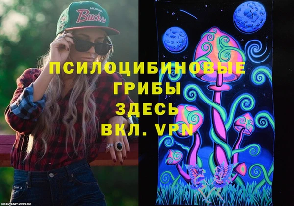 ГАЛЛЮЦИНОГЕННЫЕ ГРИБЫ Баксан