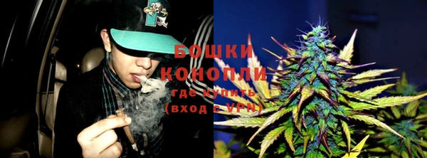 ГАЛЛЮЦИНОГЕННЫЕ ГРИБЫ Баксан