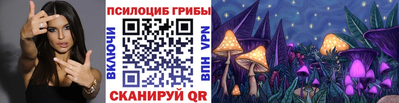 Псилоцибиновые грибы Cubensis даркнет сайт Верхний Уфалей